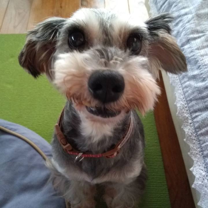 2edf2b63 77bc 4404 bb8f 60051769ae12 1559638291795