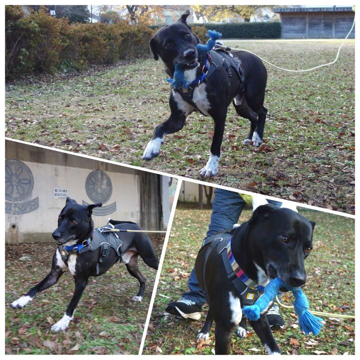 2edf3453 217d 40a3 8d37 d0cd18cca072 1639443240415