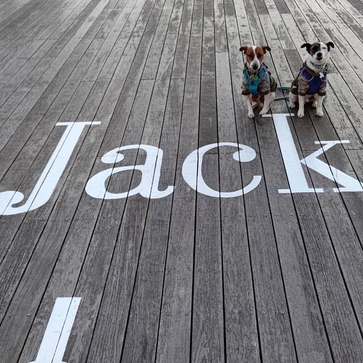 2edf4fdd c96b 44ef ac53 571e90e4b9db 1634980941095