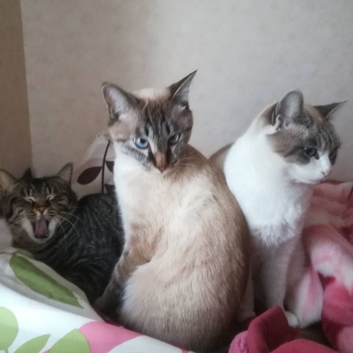 2edf745a 549e 4d52 8211 21c092869df3 1515455865034