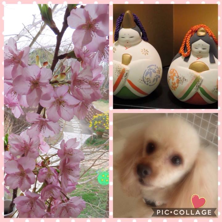 2edf8efd f96d 446d 9a85 e1eca26e8d47 1551571863667