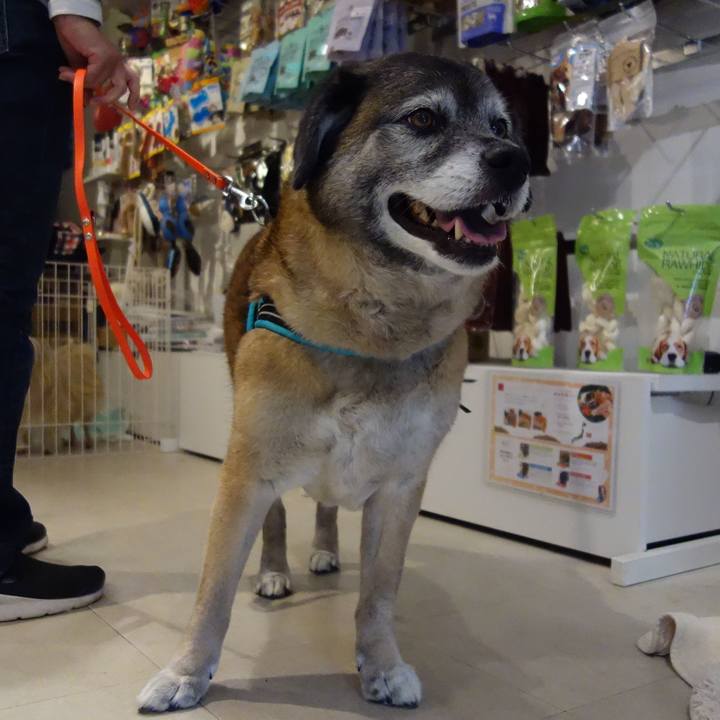 2edfadc3 b4b0 40a4 91b7 2a0ca0feb9a7 1556518507124