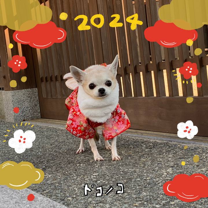 2edfb005 8cf1 4aaf a2b3 46587ed2cb26 1704062089701