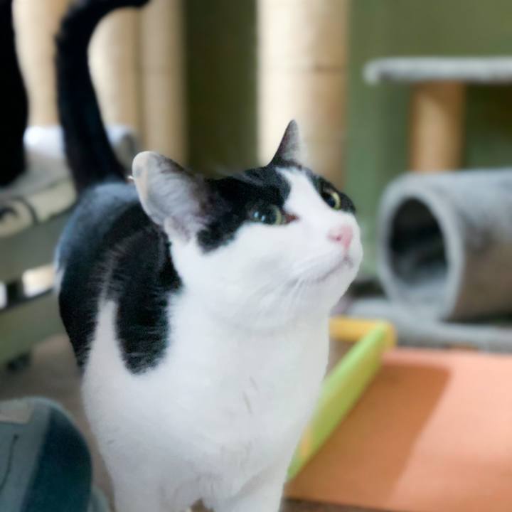 2edfc874 3584 41f0 aba3 ec7c1f789c31 1583372766543