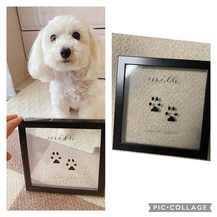 2edfd205 e169 45f4 b3ff 1a5df5fc0606 1630230325982