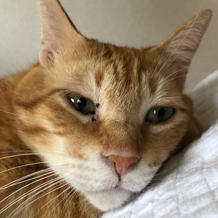 2edffabf 5d10 41ce 9143 51d0a53d7e4e 1598670228177