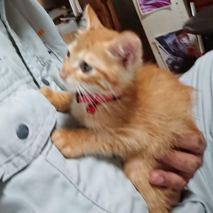 2ee0473b 180f 4772 a52a 228be4b09349 1628285793956