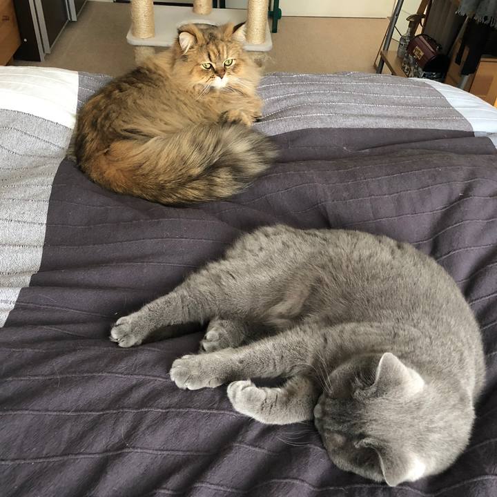 2ee05619 fa93 43b2 9b4d e8a4c6b43418 1521347808044