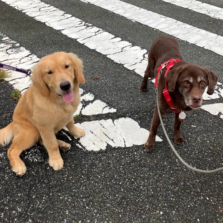 2ee0673d 536d 4aa9 9b5d c3298de969b7 1758258880564