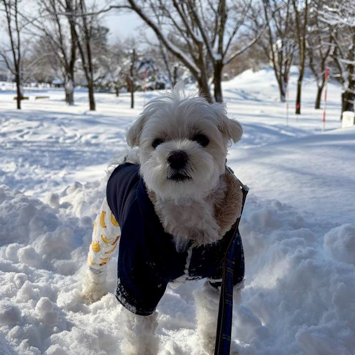 2ee09a44 69bc 46a1 b291 537960277e63 1767157195406