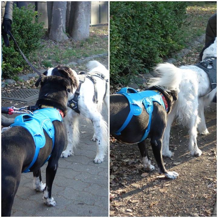 2ee0b64c 00de 4cf1 8896 5474ff1df8a8 1605485997587