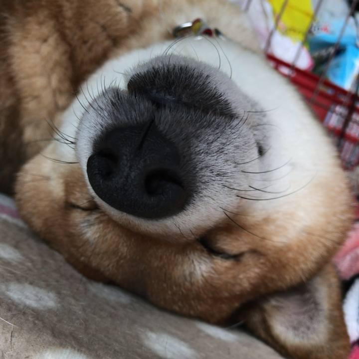 2ee0d76f c8a0 471e b537 257b0f46336c 1582598176575