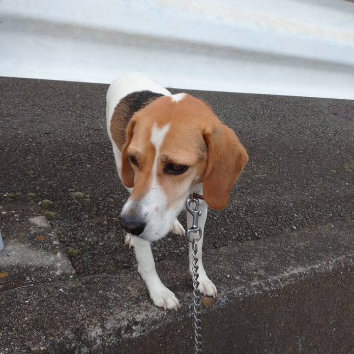 2ee0f1aa dc27 4ea7 bcdb cac5da3685c1 1592800256789