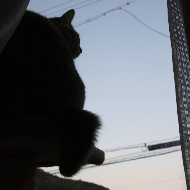 2ee0f3a7 f0ce 4609 9c86 21440385ec07 1546566421942