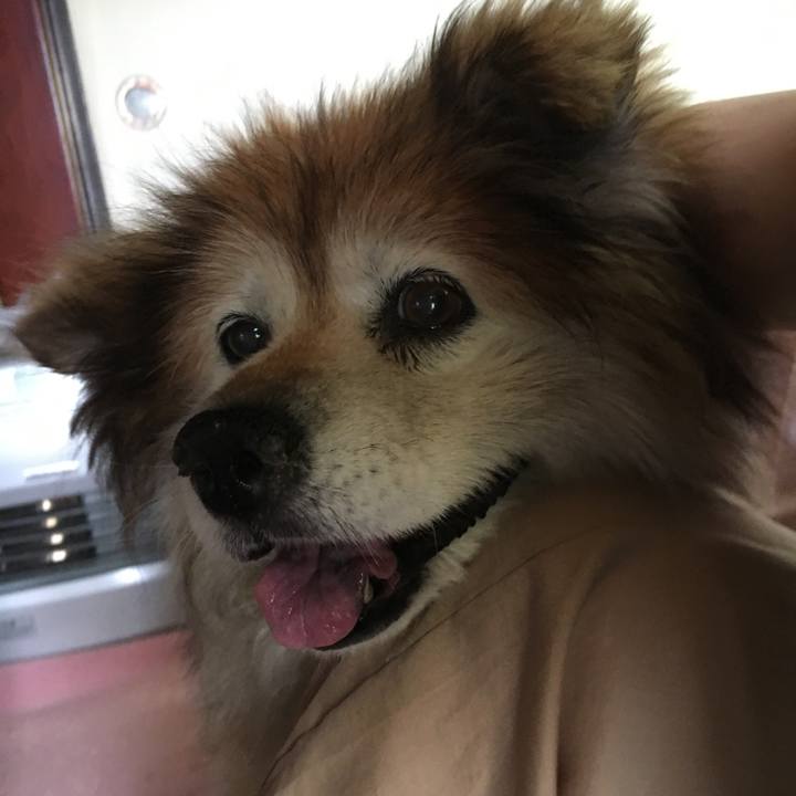 2ee16a57 b27f 4c20 ab1f d51b012a169f 1587058353460