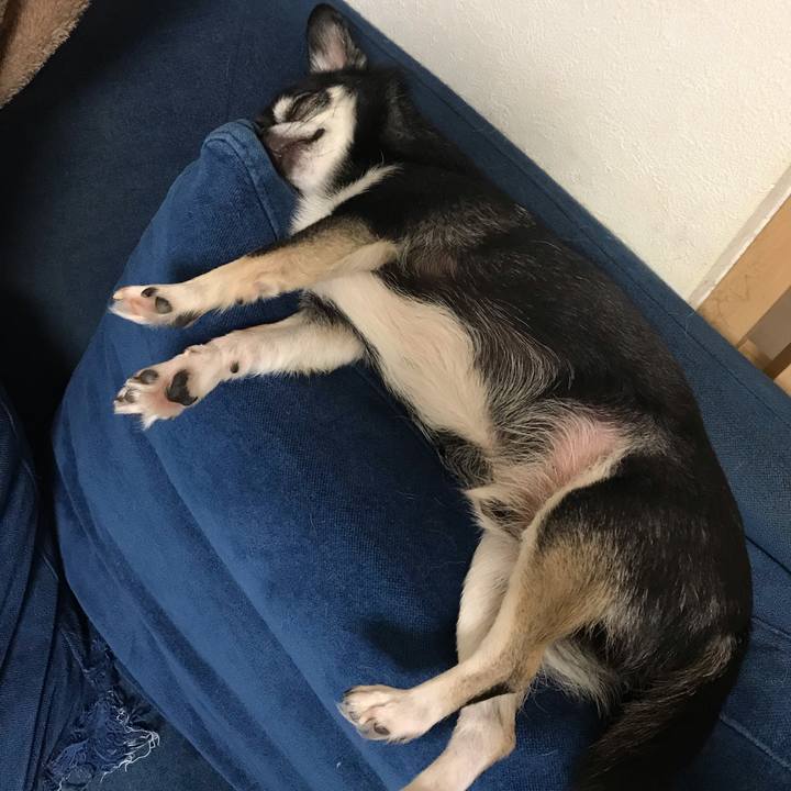 2ee16ba2 e6b2 4a54 84f1 97ed525be249 1570068399943