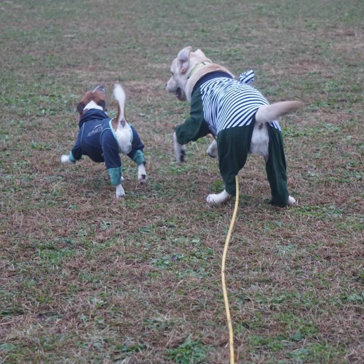 2ee17f56 04c2 44d0 a8e7 4e744021d676 1606950189207