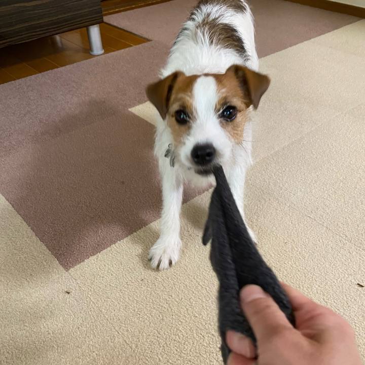 2ee1a14d efe5 4d33 b809 7b66f80d3cc1 1651710708925