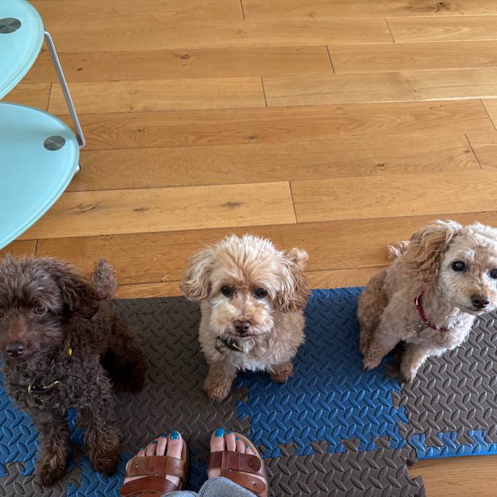 2ee1d6ee 3fbd 4451 b92a f6d60f70a077 1753007824418