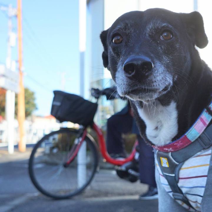 2ee1e283 eb53 4732 9bc9 4733e1b278ba 1764118785029