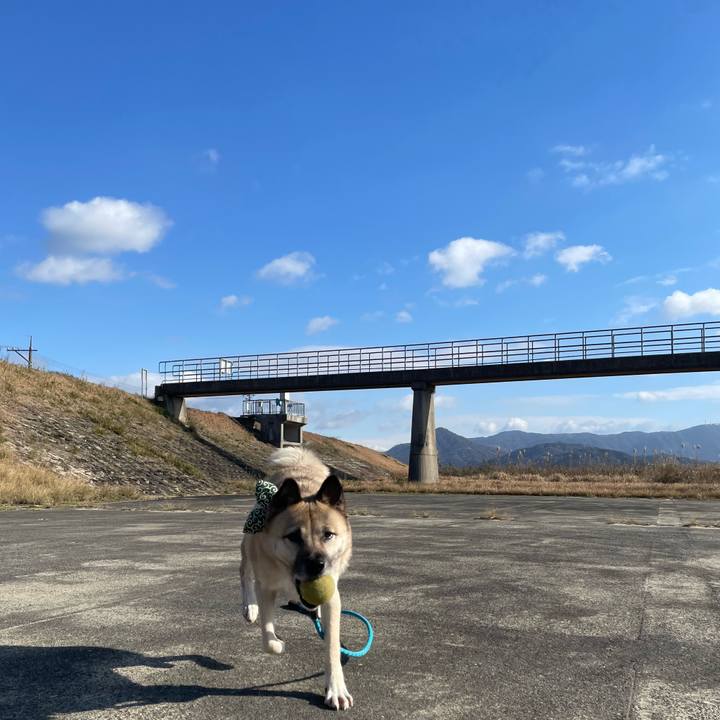 2ee1e555 18d7 49f6 8321 e12e85432379 1674991646997