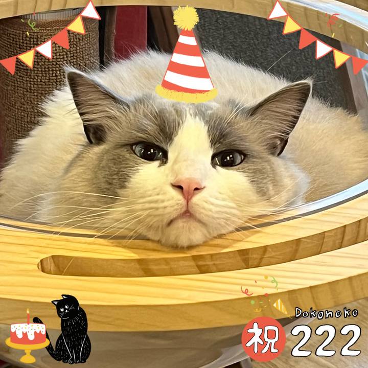 2ee21e56 c03b 4ea6 975d bd0fd125703f 1645493507761