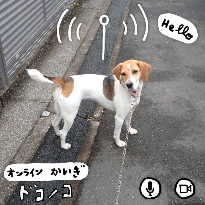 2ee243a1 a080 4647 a7b9 c3221591c550 1593835527577