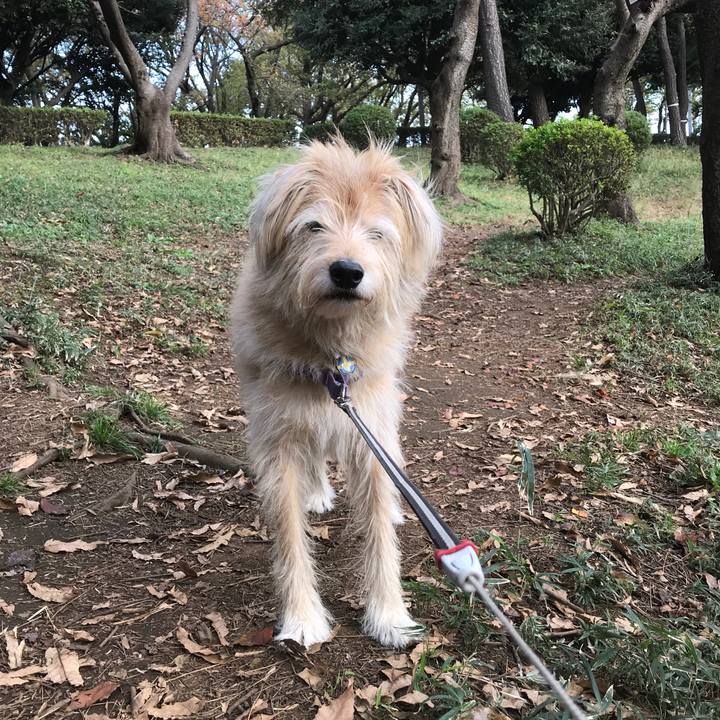 2ee2862e 6f29 4240 9d92 a5b3f36b486a 1542339711559