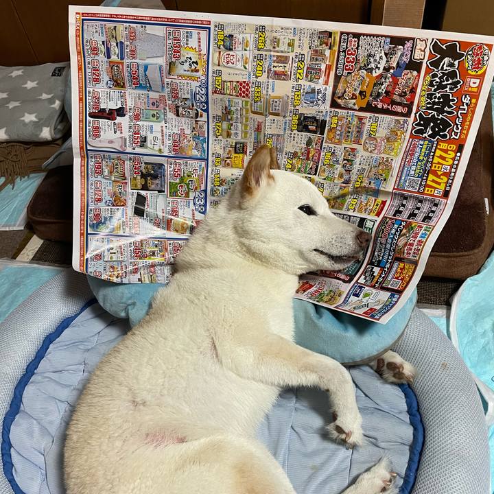 2ee2b4ac d8f3 4808 8c94 15e9e9fdc590 1656075975459