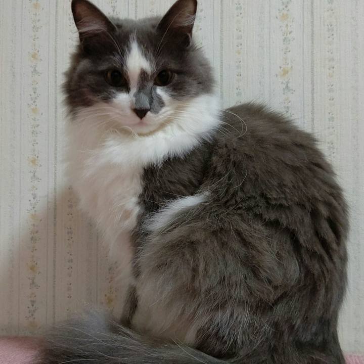 2ee2b531 63f9 442e 8748 e919d23d5522 1577876890762