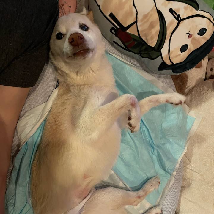 2ee32398 4dd4 4bbf a2e4 3a71cd3a50f6 1679834865801