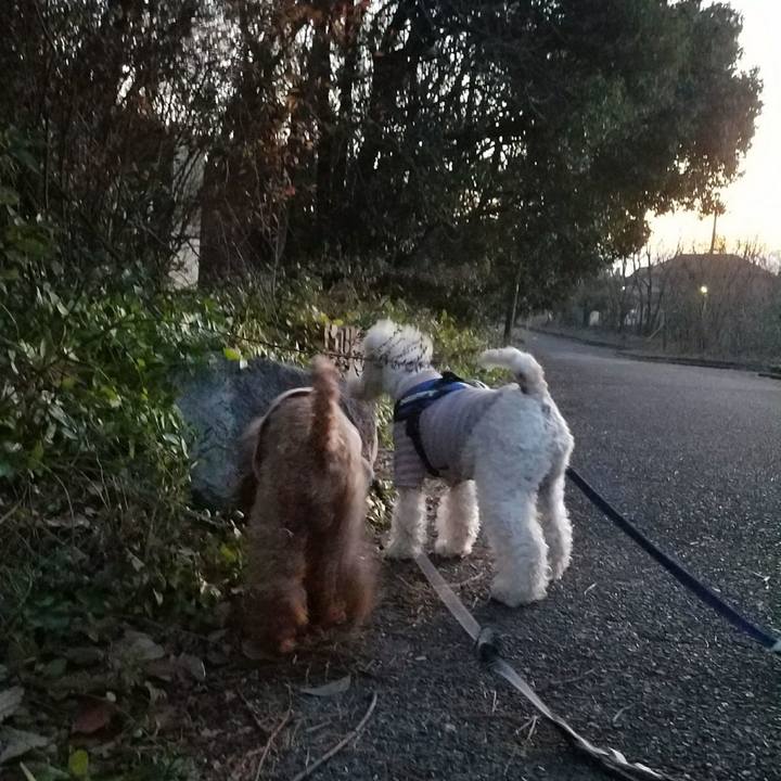 2ee32faf 3590 4bf0 9e86 506d7a071ba4 1515537448479