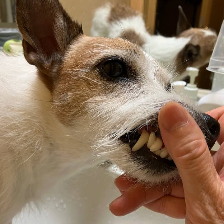 2ee34826 97ca 460c b432 e6e54d739a9b 1716333683070