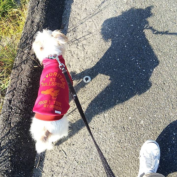 2ee360eb ff2c 412f 9da2 47174e95b3a7 1573952760525