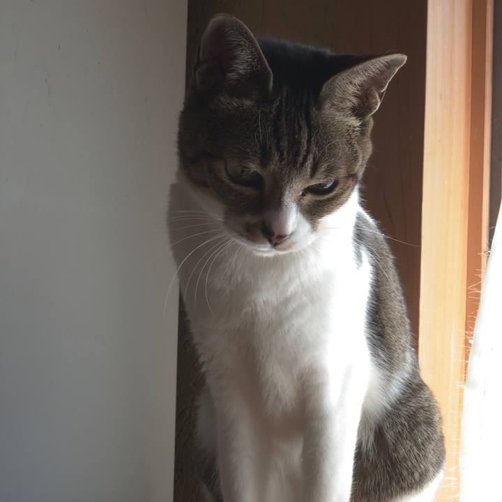 2ee36f67 da53 4d1d ba9e bf1f1e6bed74 1551228766855