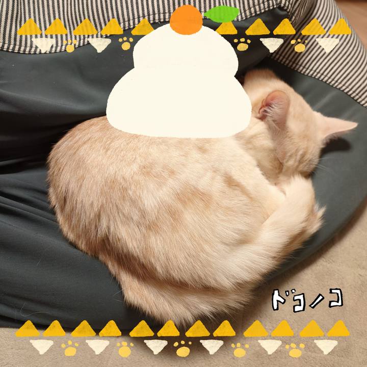 2ee3958b 666c 4d0b bfb8 bac02188ac0b 1704109200127