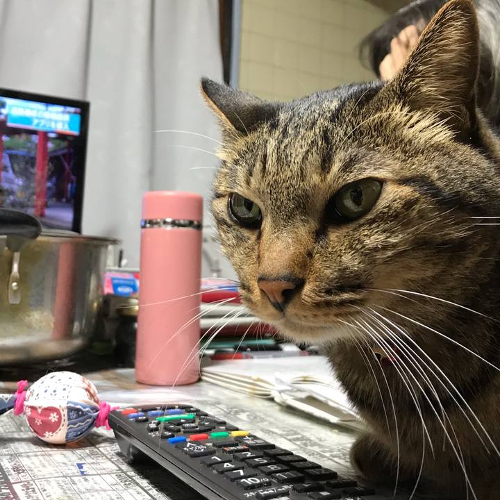 2ee409b1 53e5 4157 aad3 9c785419bcc7 1540374196701