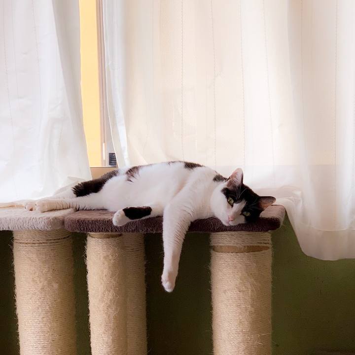 2ee47236 bc1b 4280 8205 8d0ec6a42d0a 1563500858999