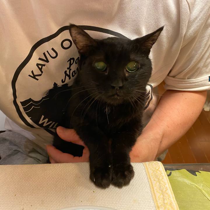 2ee47bd9 4cad 47ed b460 5d97bc55f7eb 1730968012537