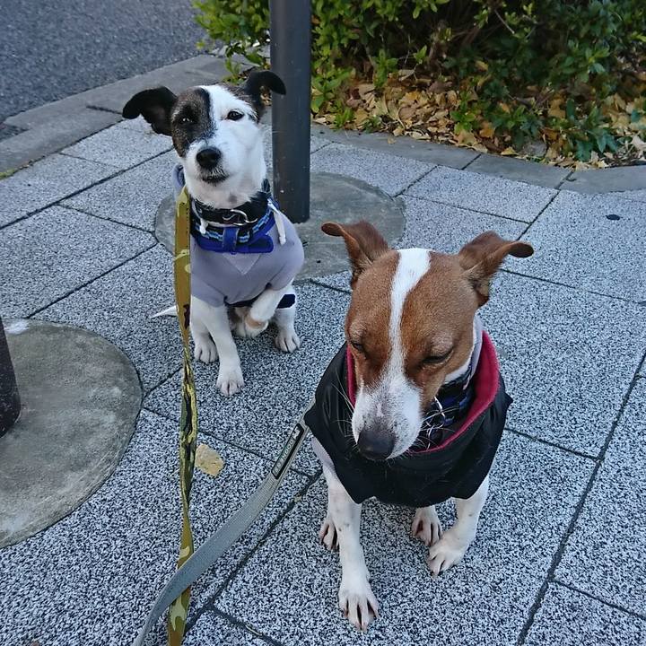 2ee4c3af b197 4fff 9129 0bebd8b94a96 1546386164351