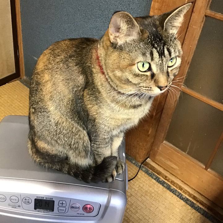 2ee4df68 5570 45a3 a7ce 6751e22f7eee 1641337571987