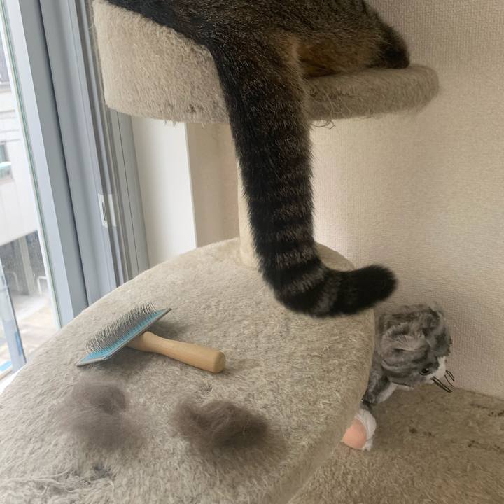 2ee4f61c 8544 4363 972d 12bfd0f2f68d 1659964992713