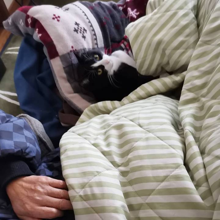 2ee510fa 8b31 44b9 a6d5 406736c7c7be 1608979643993