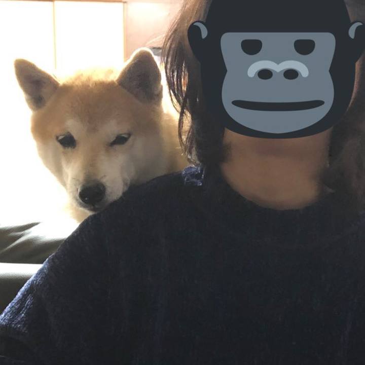 2ee518c5 c096 483a b78c 0dd4d718431a 1577180855984