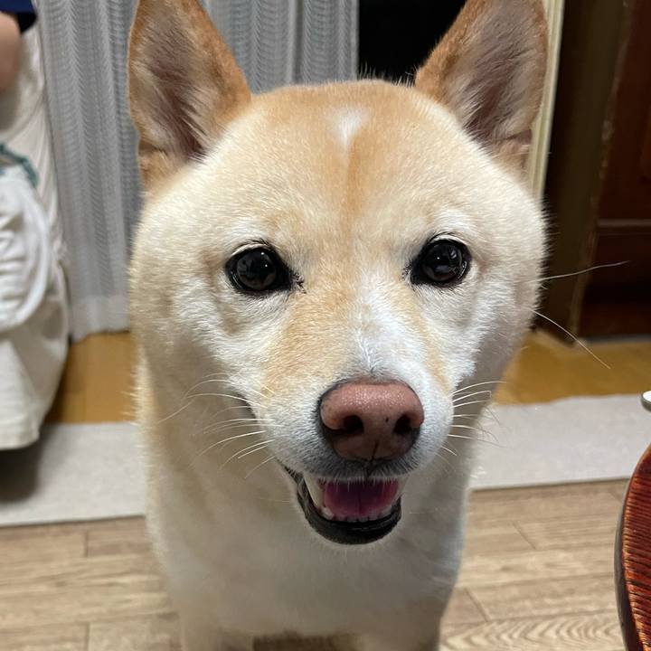 2ee5416e 14b7 4438 9b2c 833623209bfc 1662029034611