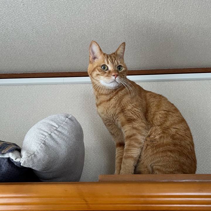 2ee544fa 93a9 42d6 ba9f bc9dcece19cf 1770961650143