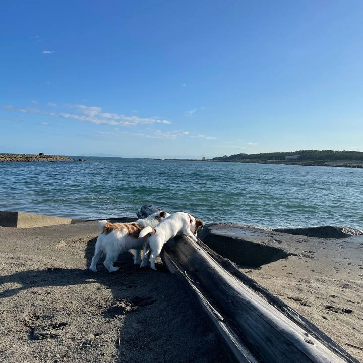 2ee56b6a 6ec9 456f a75c ba8d603a9fb3 1633567311253