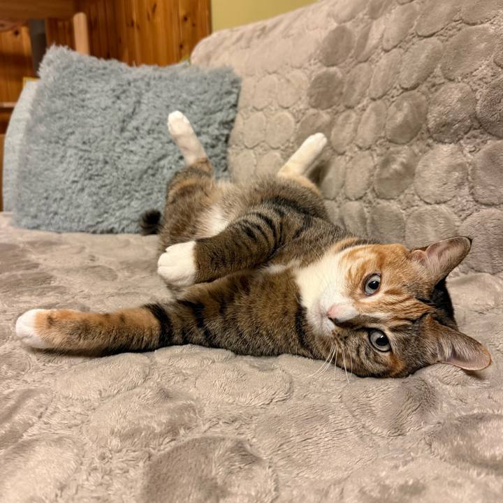 2ee56ffe 7c4d 4834 827e 805b5503ddd5 1773226792384