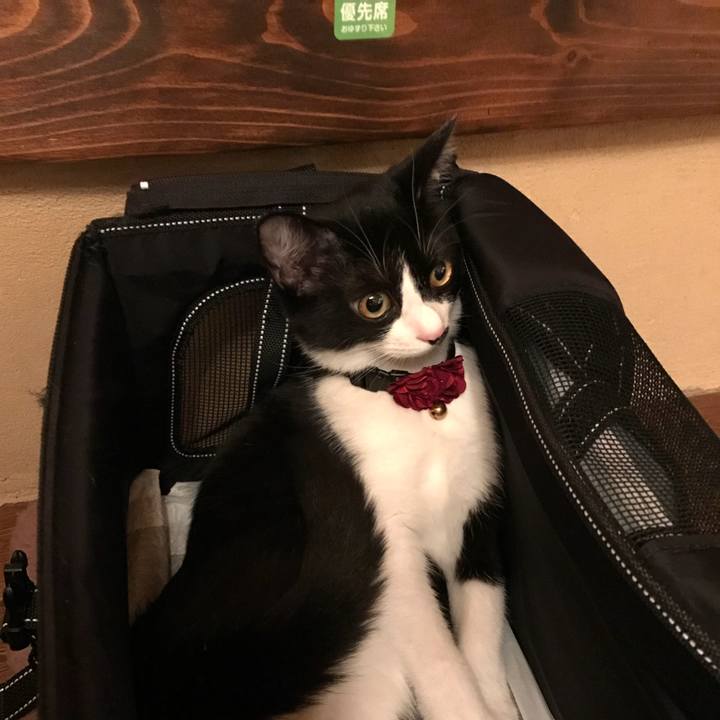 2ee589e6 0b3c 46da bd1f a372f9792471 1509091295763