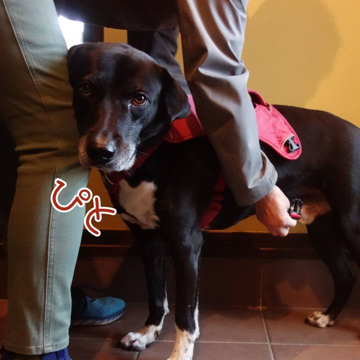 2ee58eb8 a866 4e89 9dd3 9a06970b8d0e 1700443082740